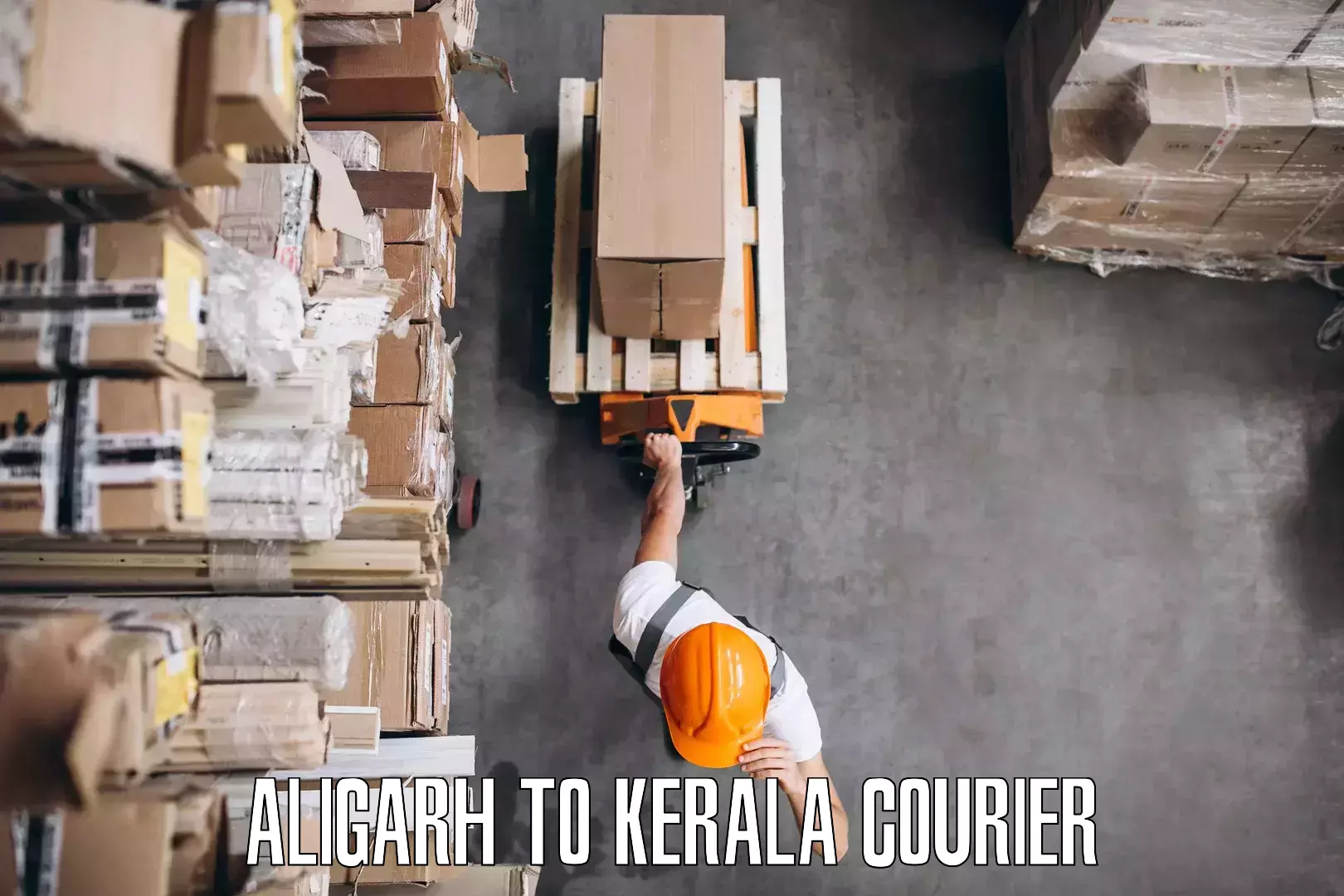 Quick relocation services Aligarh to Kerala