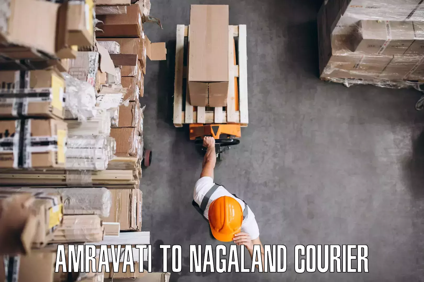 Efficient furniture movers Amravati to NIT Nagaland