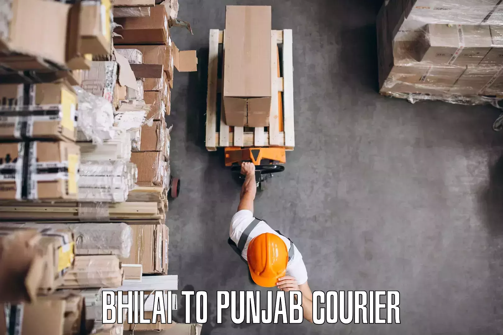 Skilled furniture movers in Bhilai to NIT Jallandhar