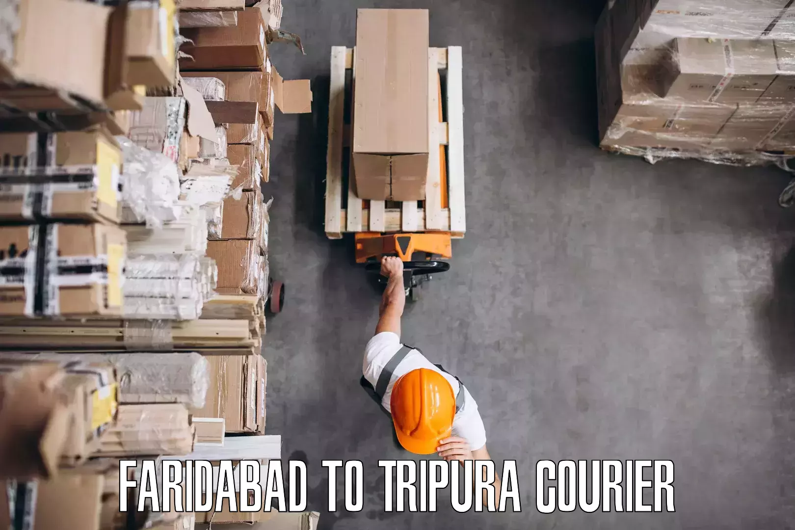 Custom moving solutions in Faridabad to Tripura