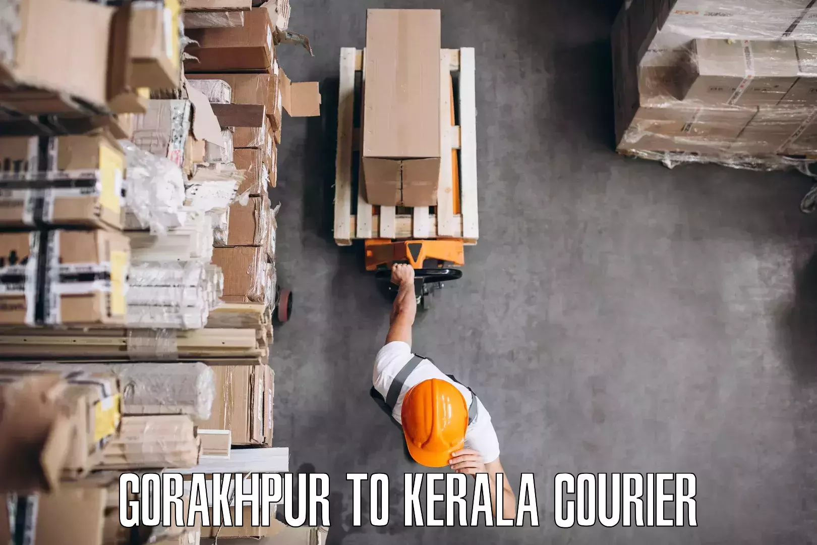 Skilled furniture movers Gorakhpur to Edappal