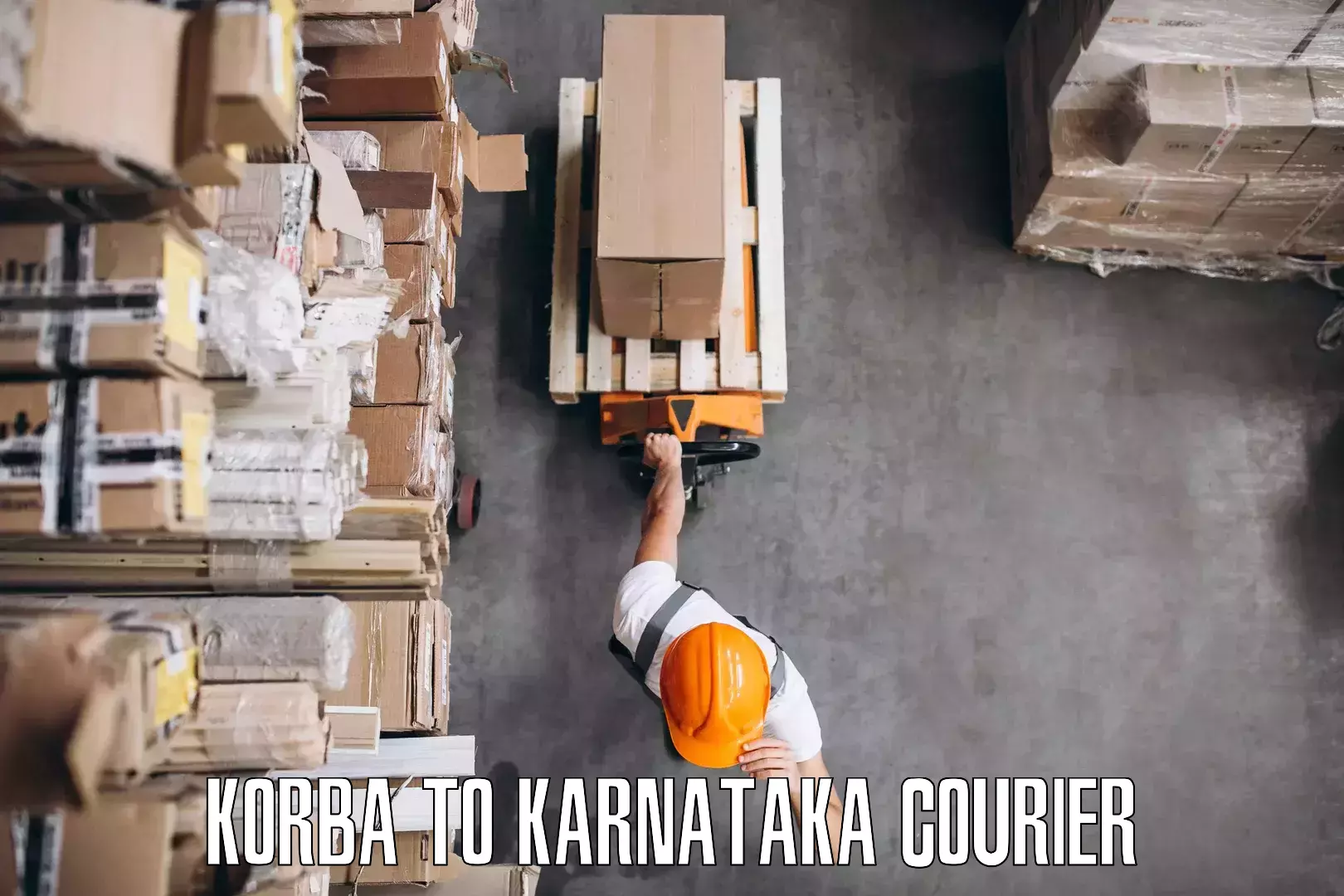 Reliable goods transport Korba to Channarayapatna