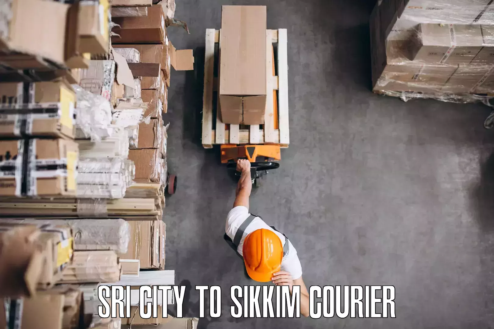 Furniture moving experts Sri City to Singtam