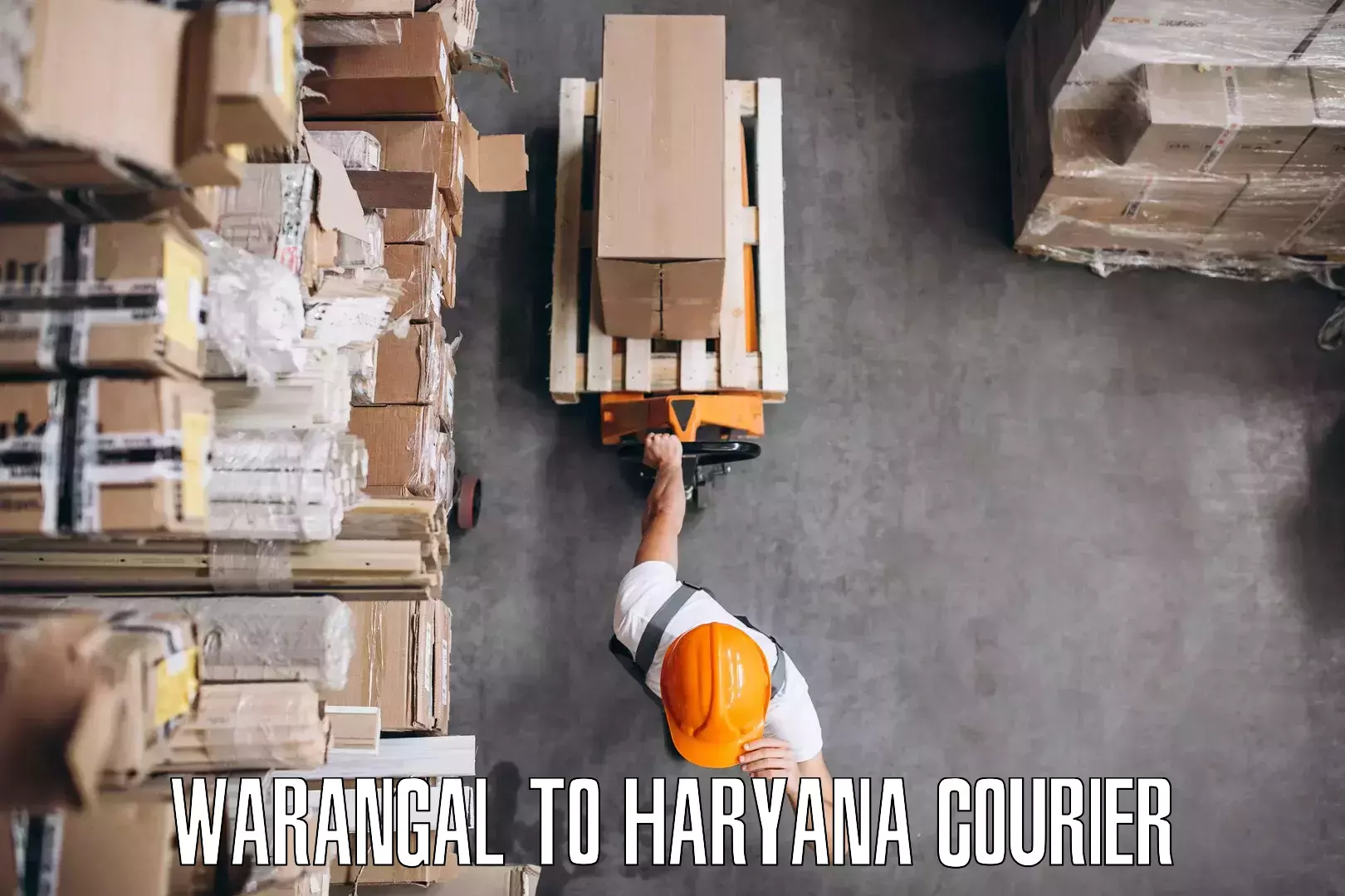 Customized furniture moving Warangal to NCR Haryana