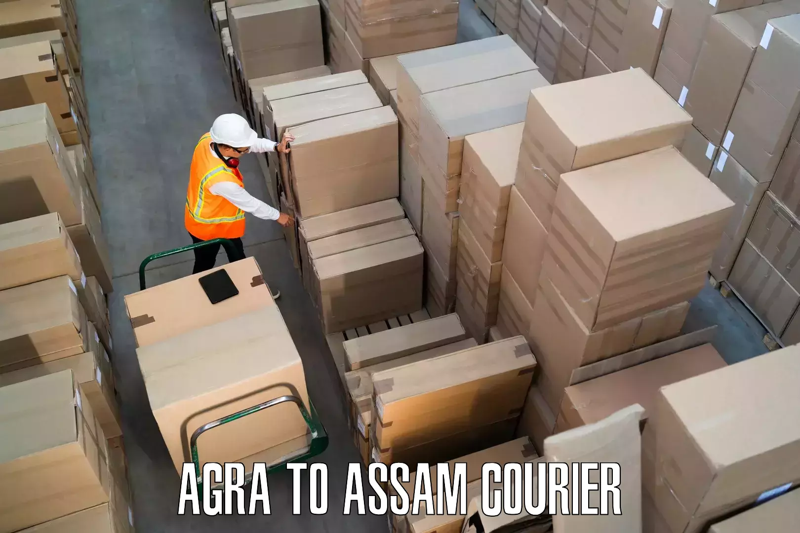 Furniture moving experts Agra to Golaghat