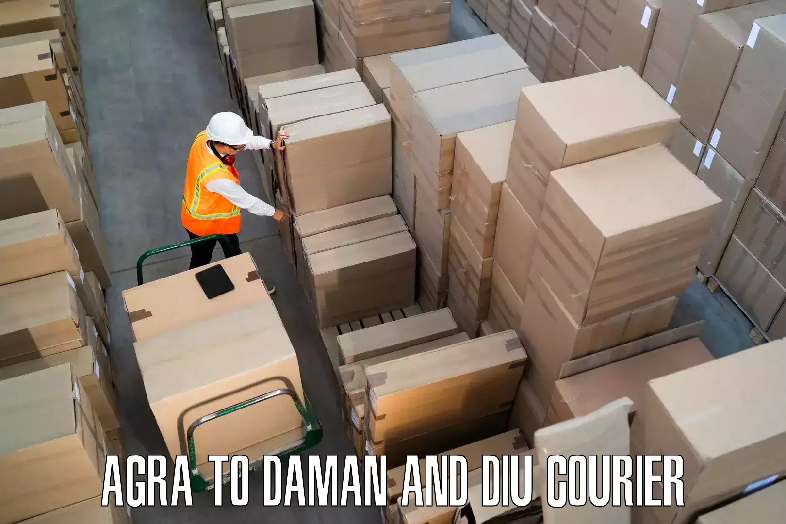Professional furniture transport Agra to Daman and Diu