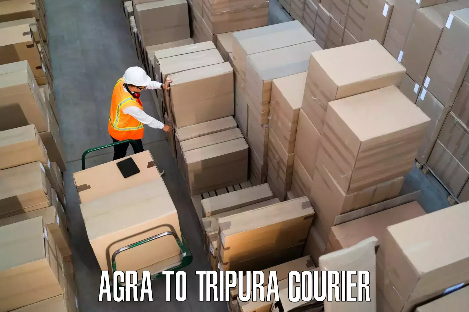 Quick relocation services Agra to North Tripura