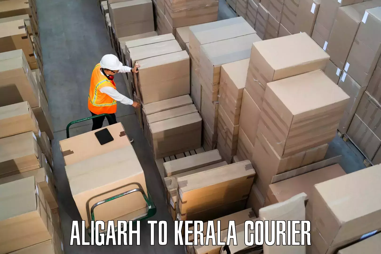 Home goods moving company Aligarh to Cherpulassery