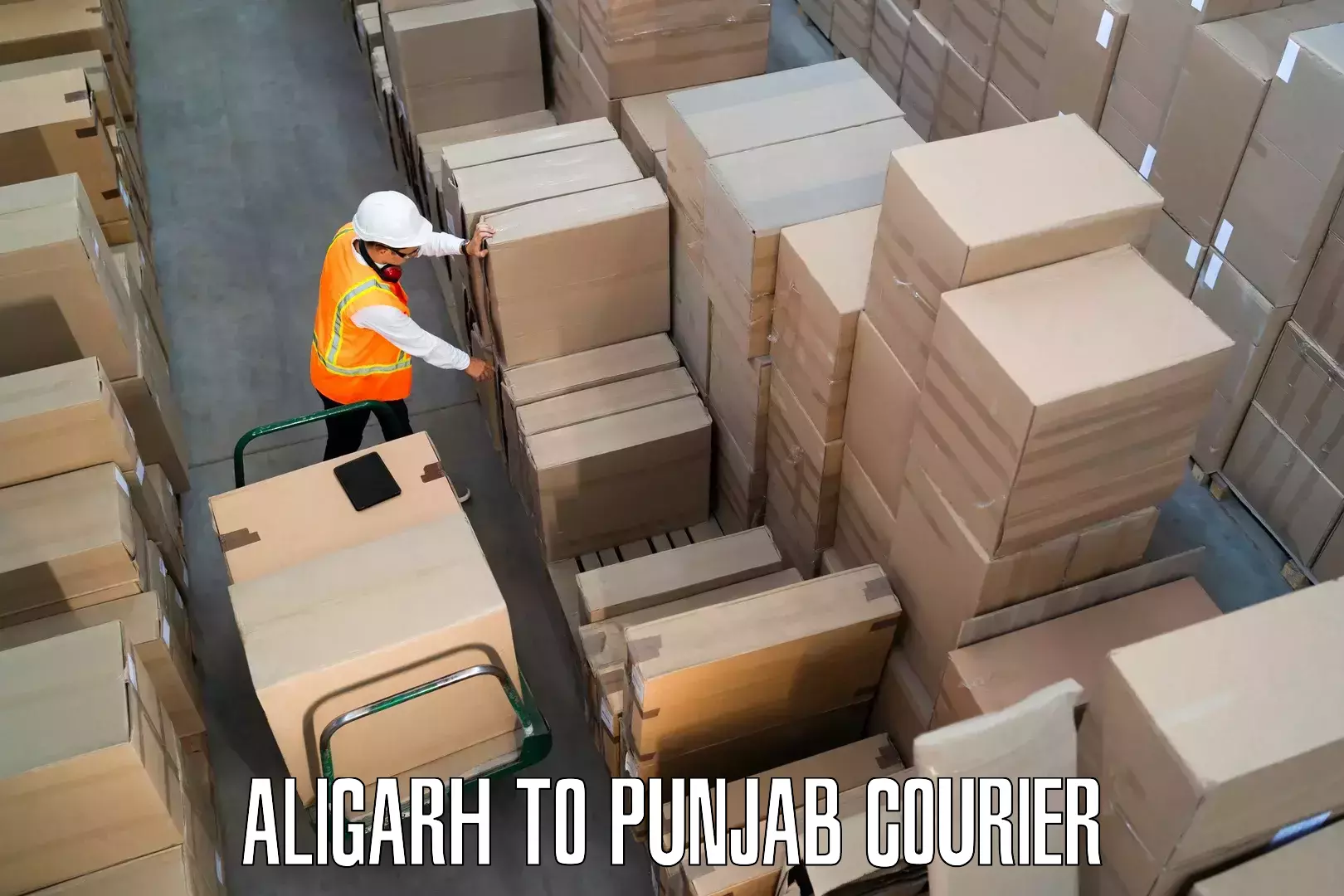 Efficient home goods movers Aligarh to Dera Bassi