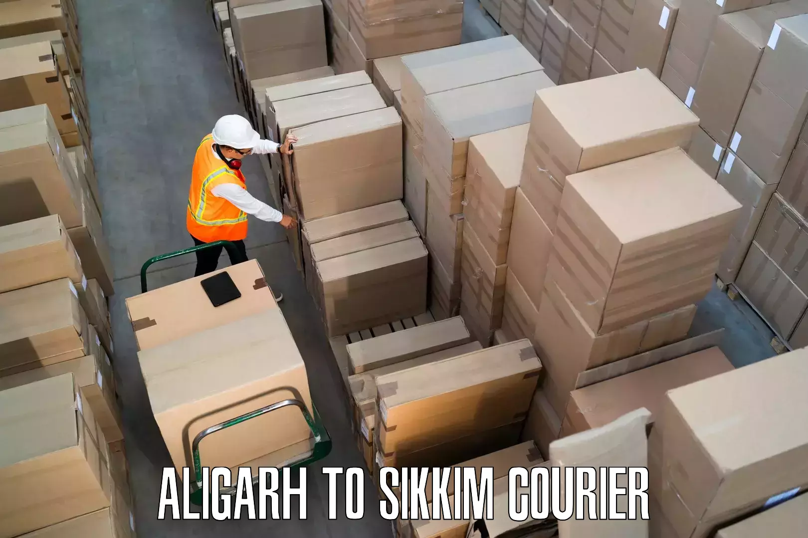 Efficient packing and moving Aligarh to West Sikkim