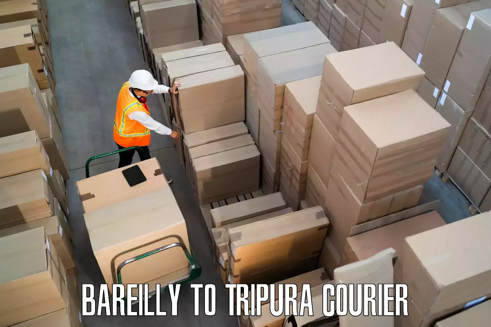Furniture transport professionals Bareilly to Tripura