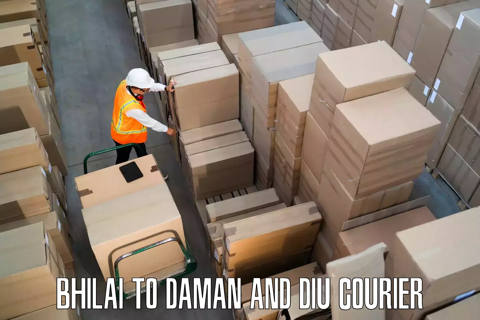 Furniture moving service Bhilai to Daman