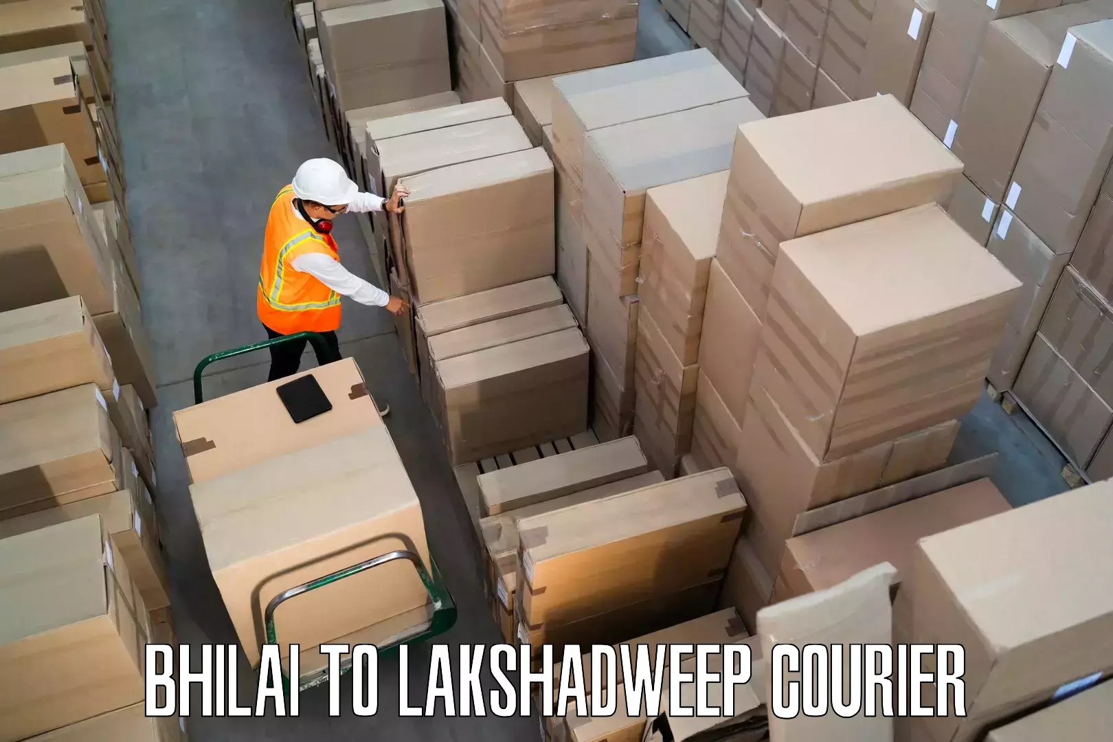 Furniture moving and handling Bhilai to Lakshadweep