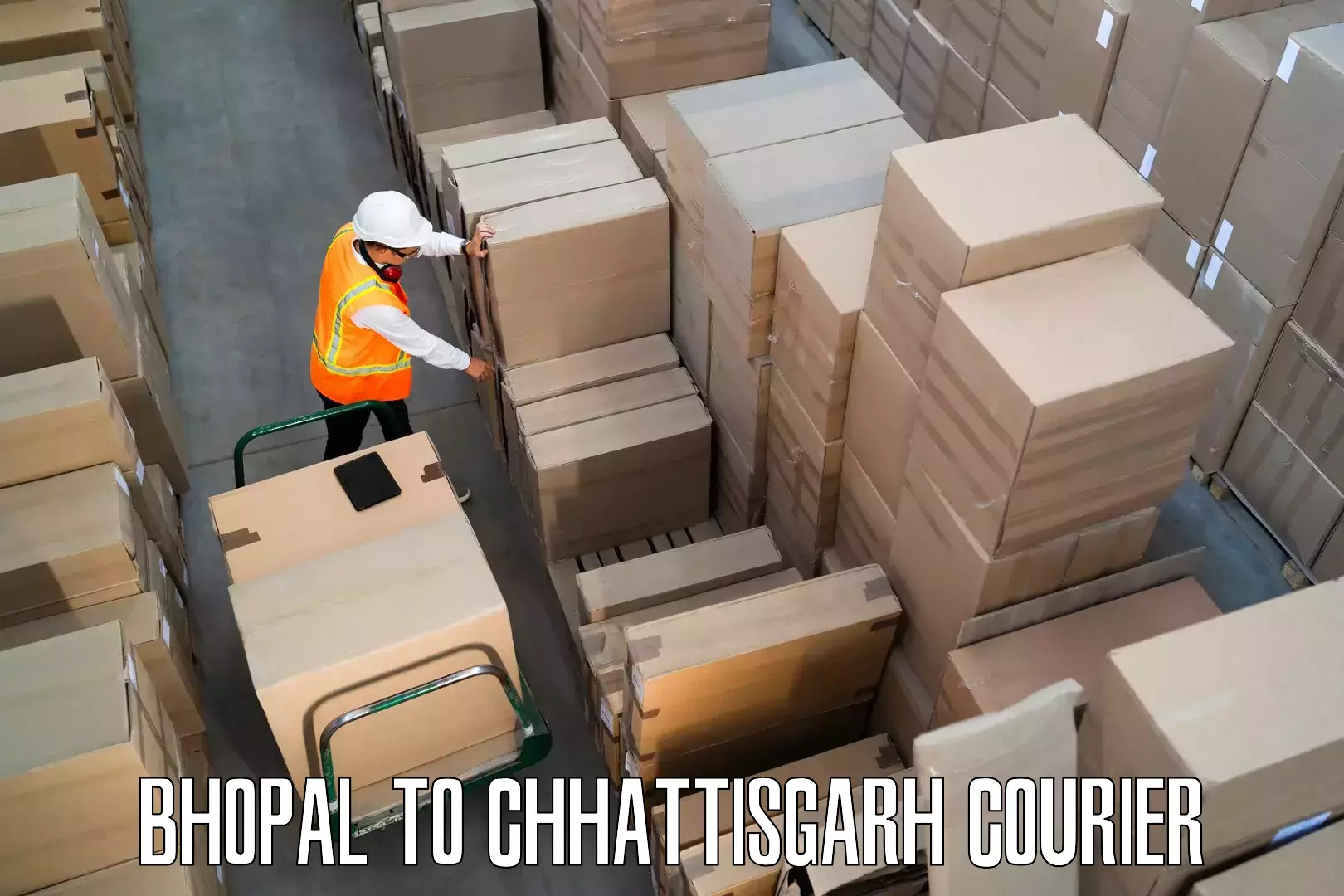 Furniture moving plans Bhopal to Raigarh