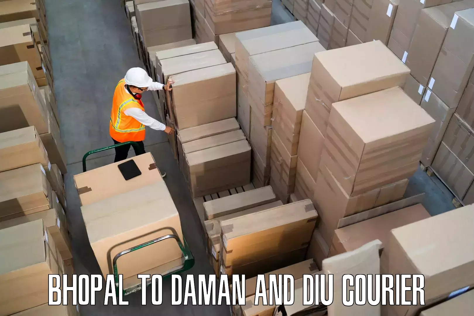 Customized moving solutions Bhopal to Daman