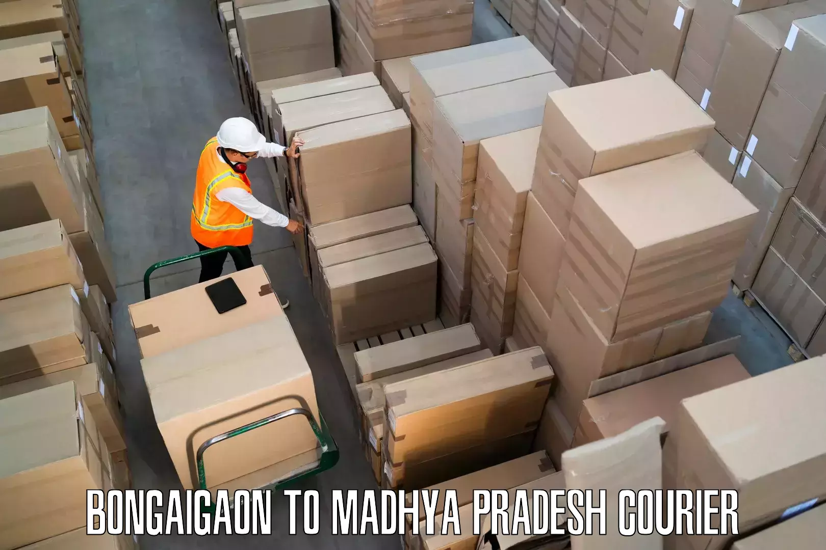 Affordable relocation services Bongaigaon to Madhya Pradesh