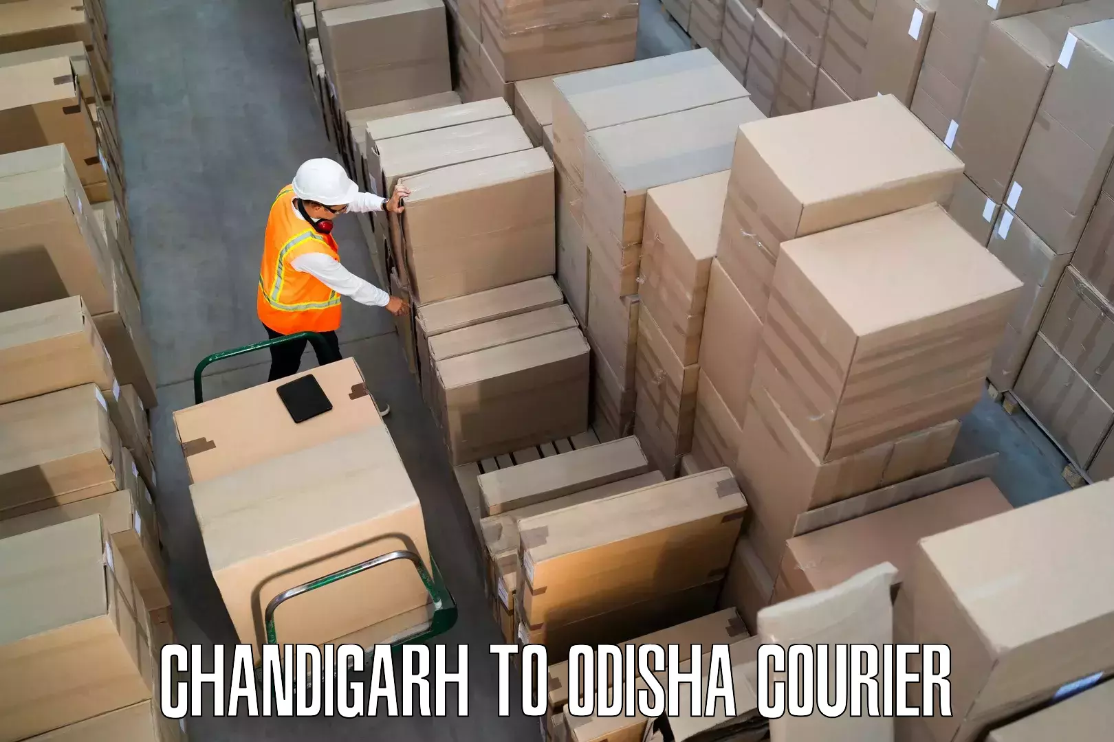 Furniture moving assistance Chandigarh to Padampur Bargarh