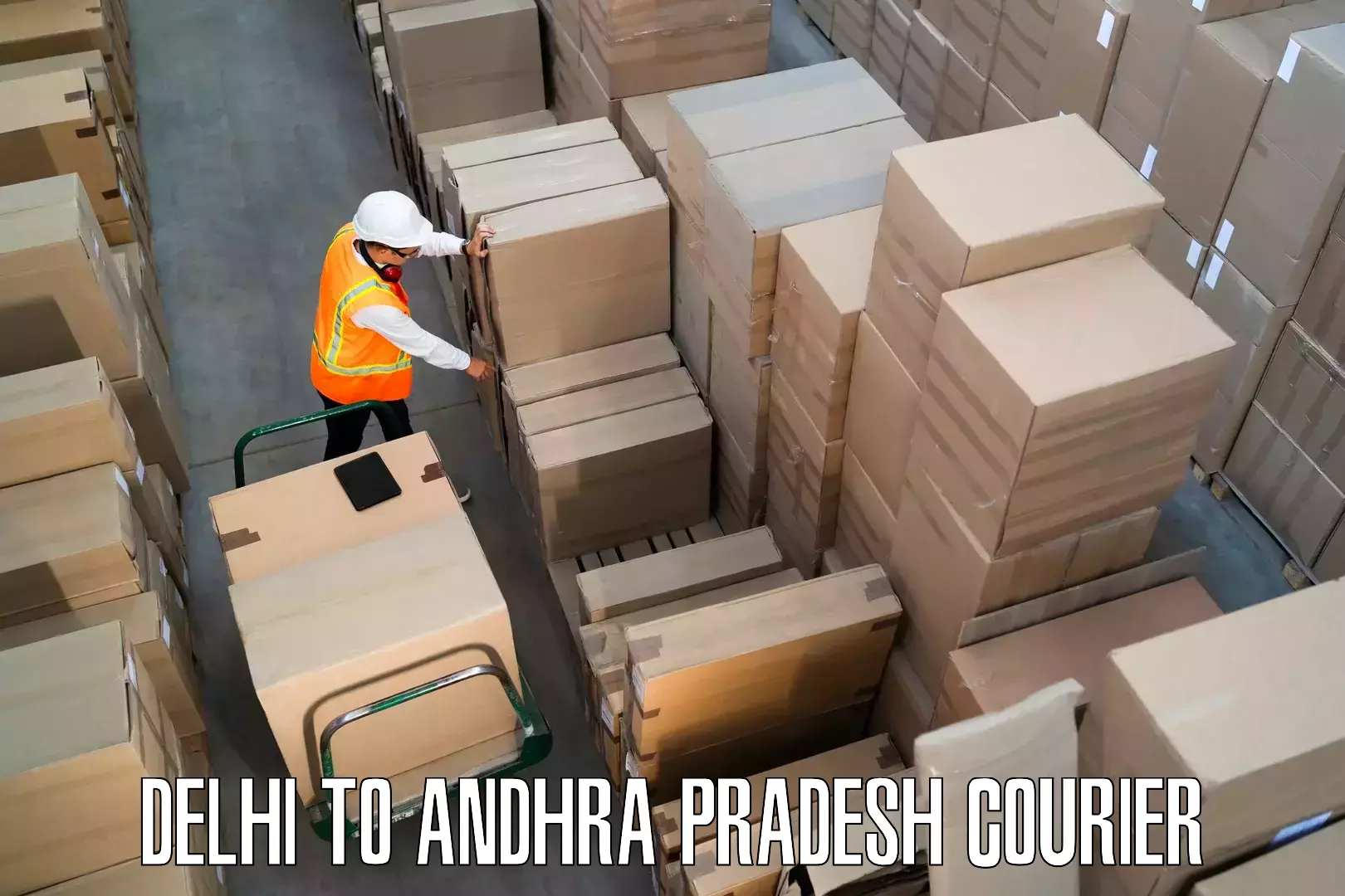 Professional home movers Delhi to Srisailam