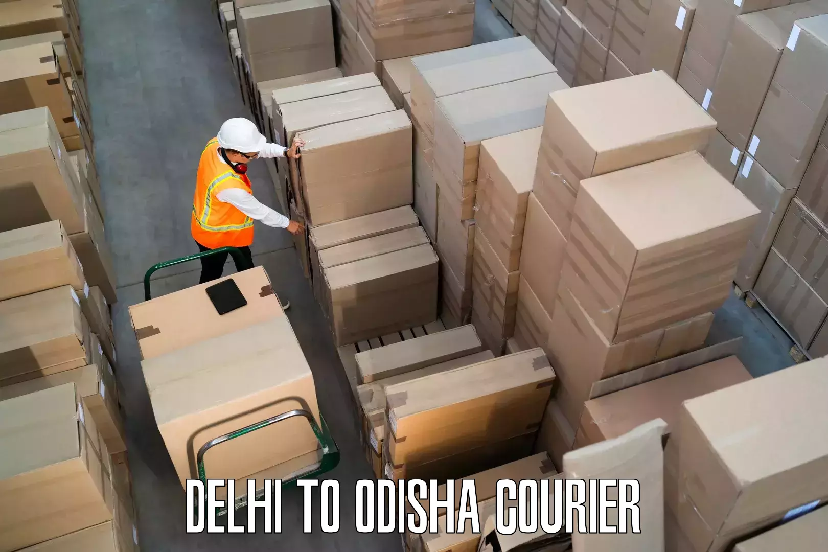 Household goods shipping Delhi to Gunupur