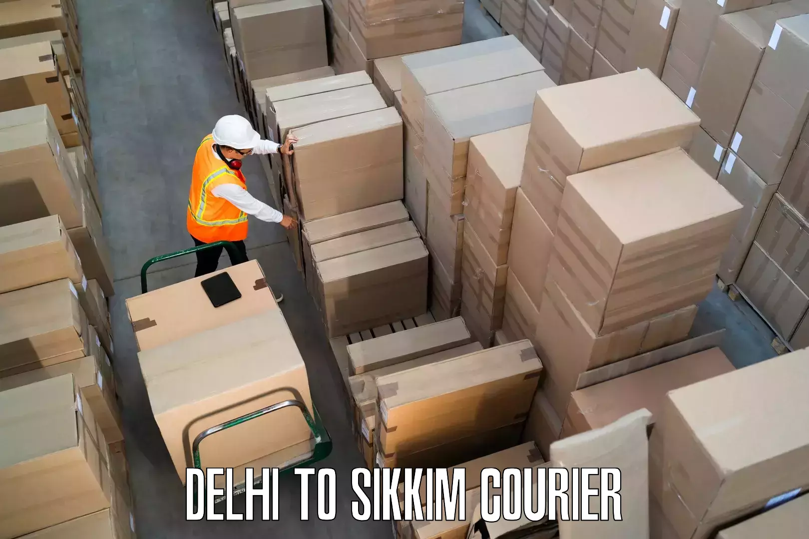 Dependable furniture transport Delhi to Ravangla