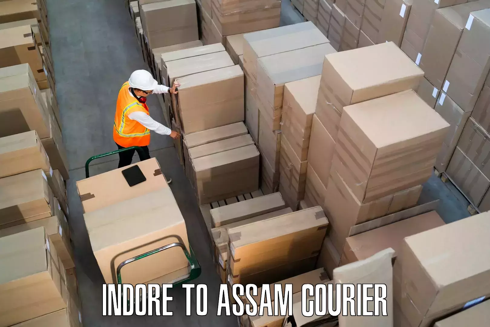 Reliable moving assistance Indore to Assam