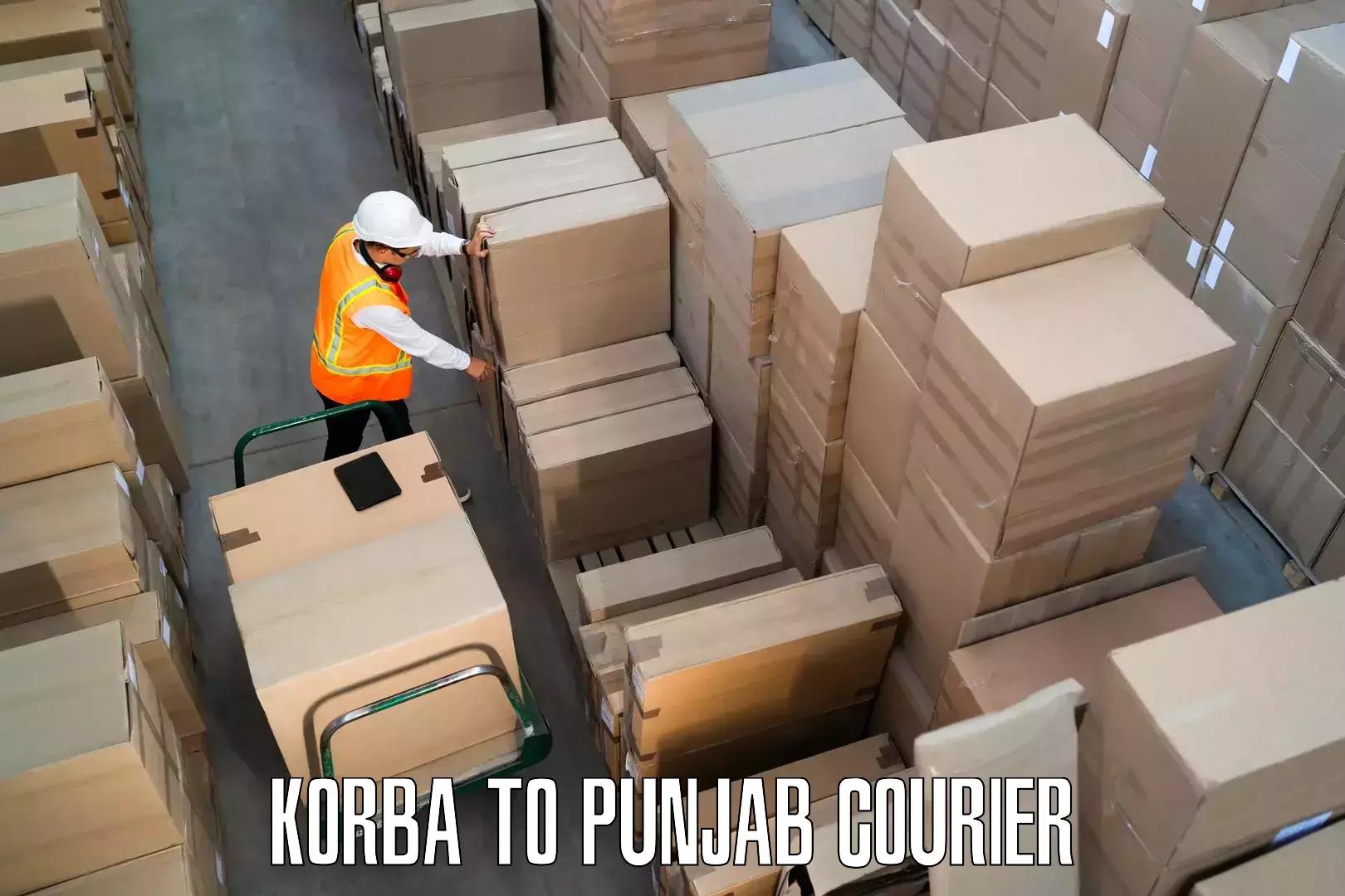 Home goods moving company Korba to Amritsar