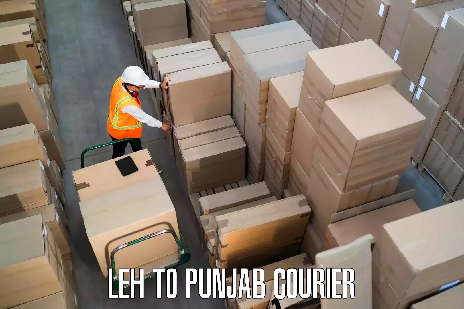 Professional furniture relocation Leh to Punjab