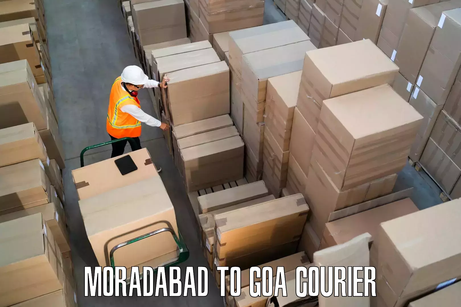 Professional home movers Moradabad to Goa