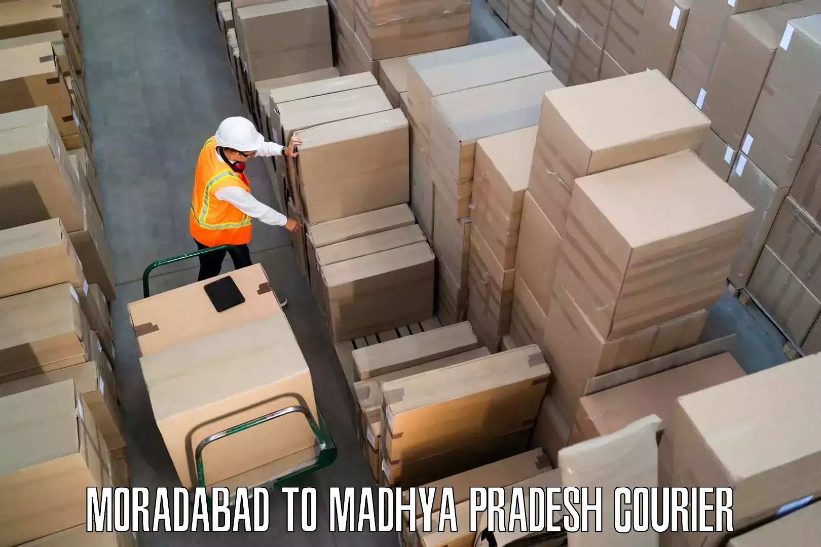 Seamless moving process Moradabad to Vidisha