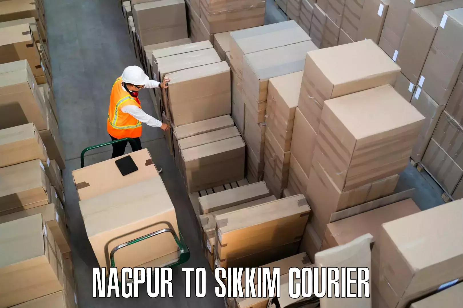 Home goods moving company Nagpur to Rangpo