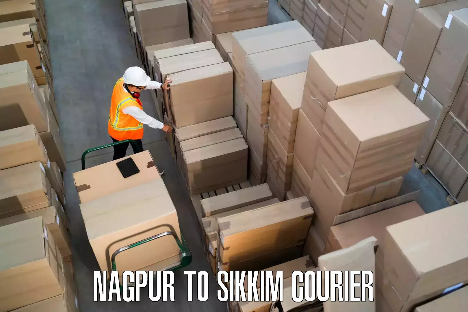 Comprehensive moving services Nagpur to South Sikkim