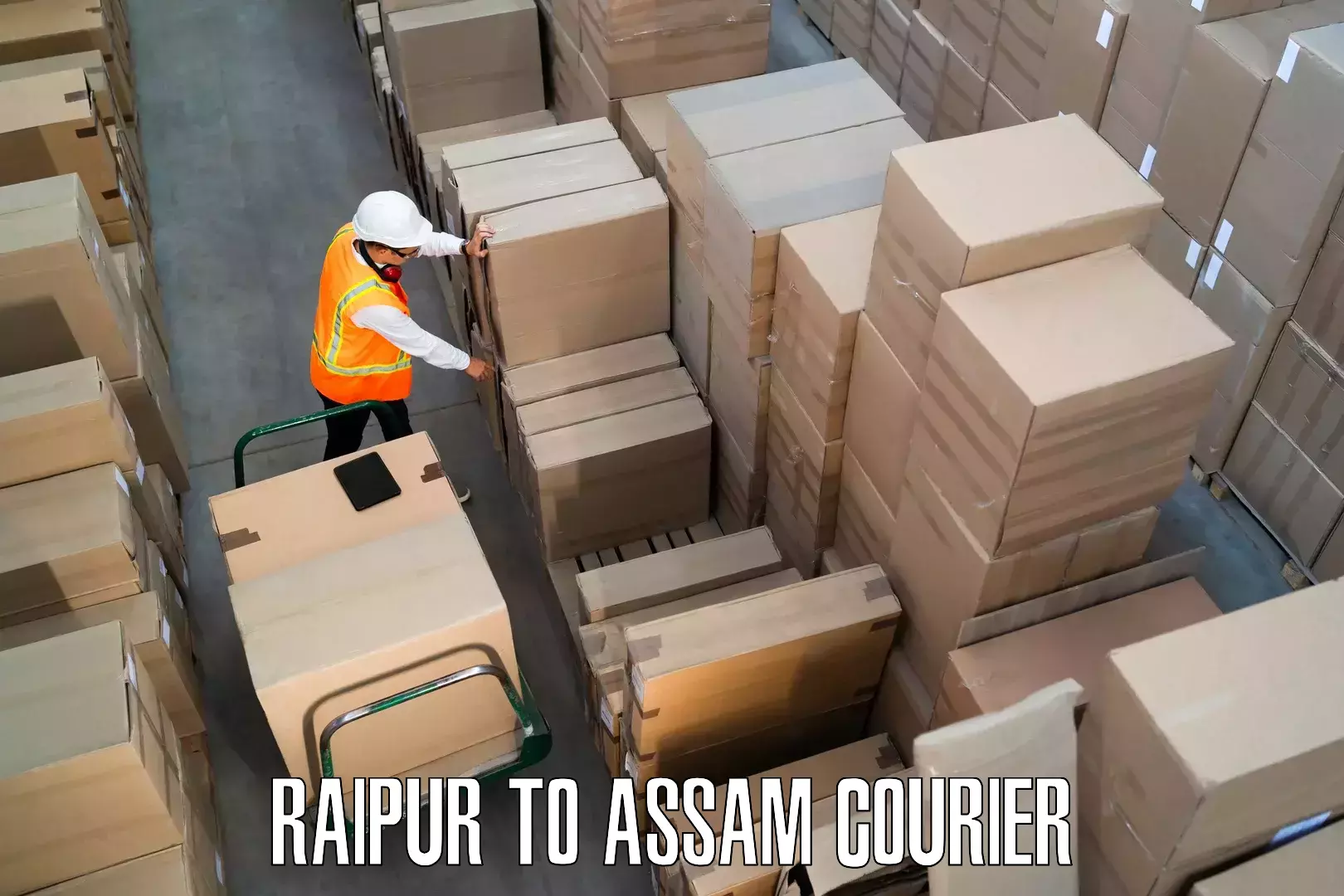 Customized furniture moving Raipur to Majuli