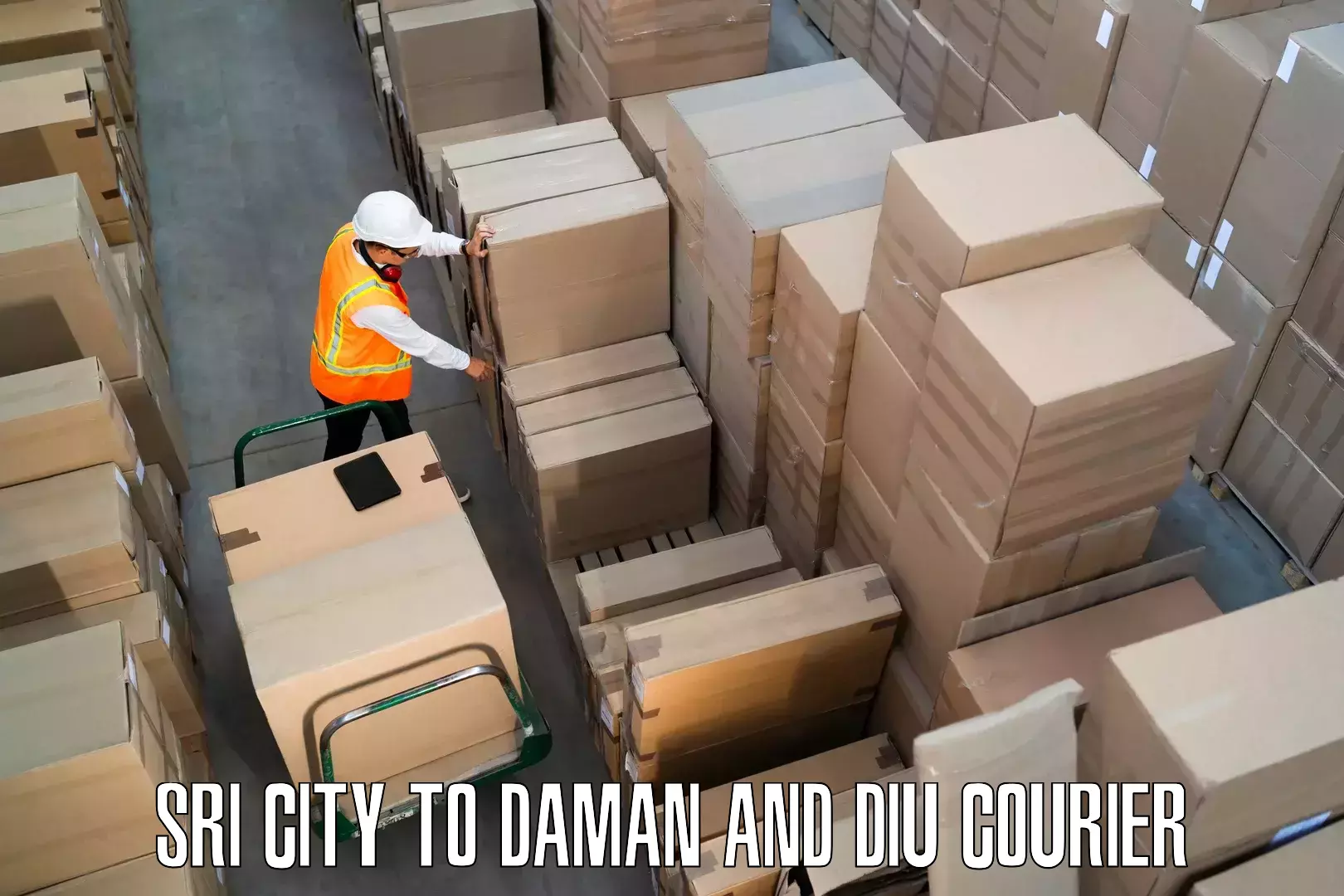 Furniture transport company Sri City to Daman and Diu
