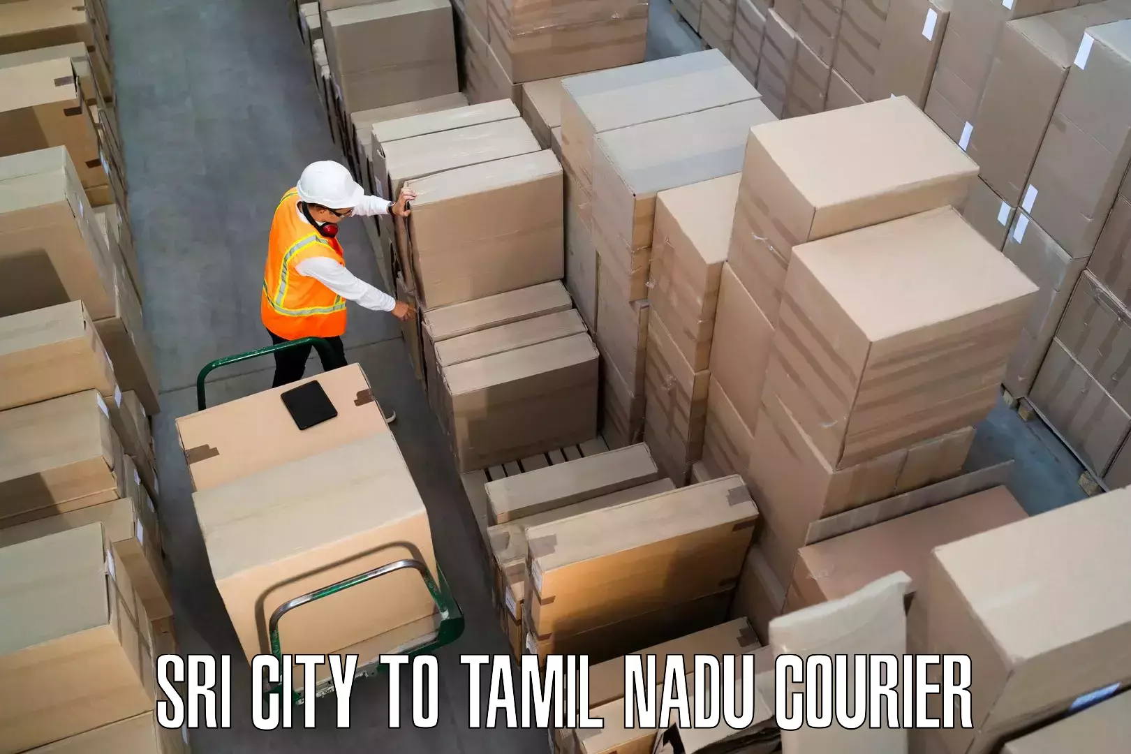 Furniture transport specialists Sri City to Vellore