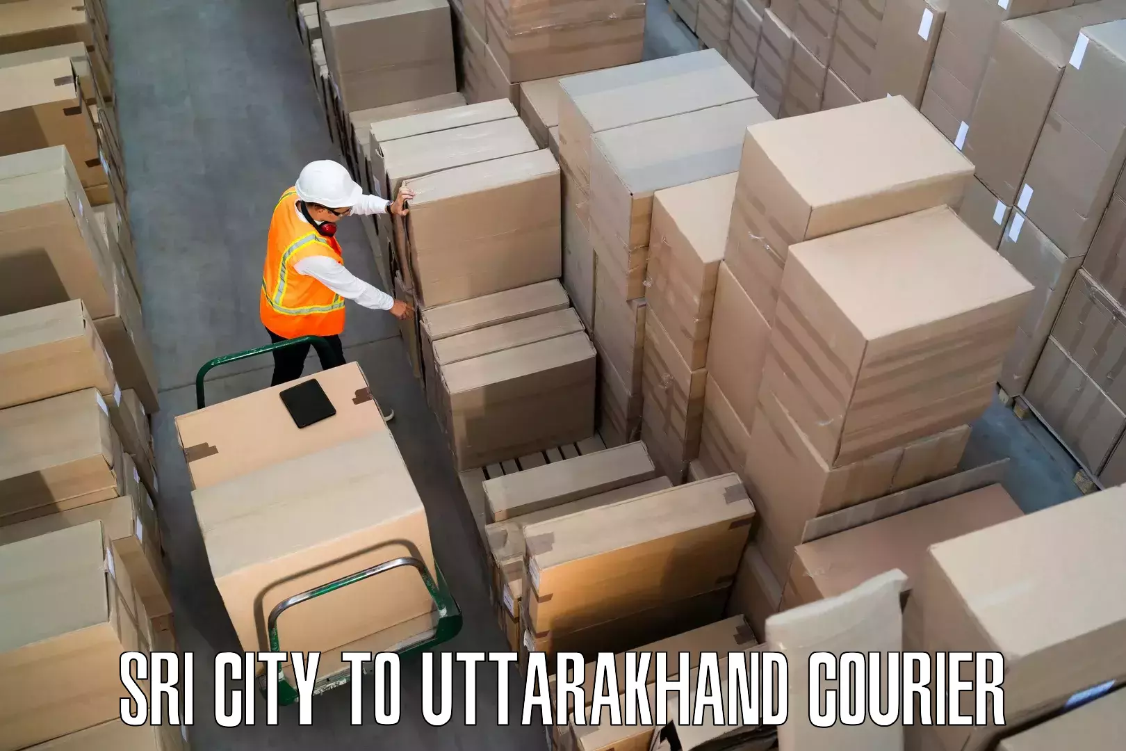 Flexible moving solutions Sri City to Dwarahat