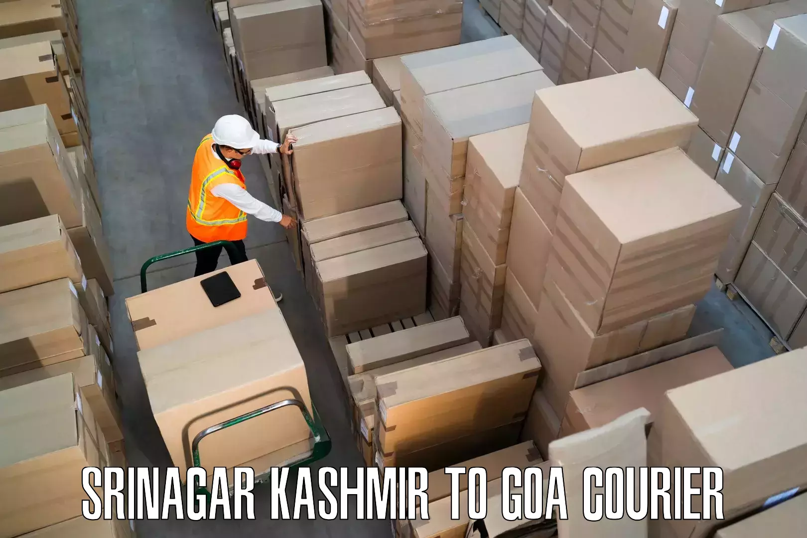 Full-service movers Srinagar Kashmir to South Goa