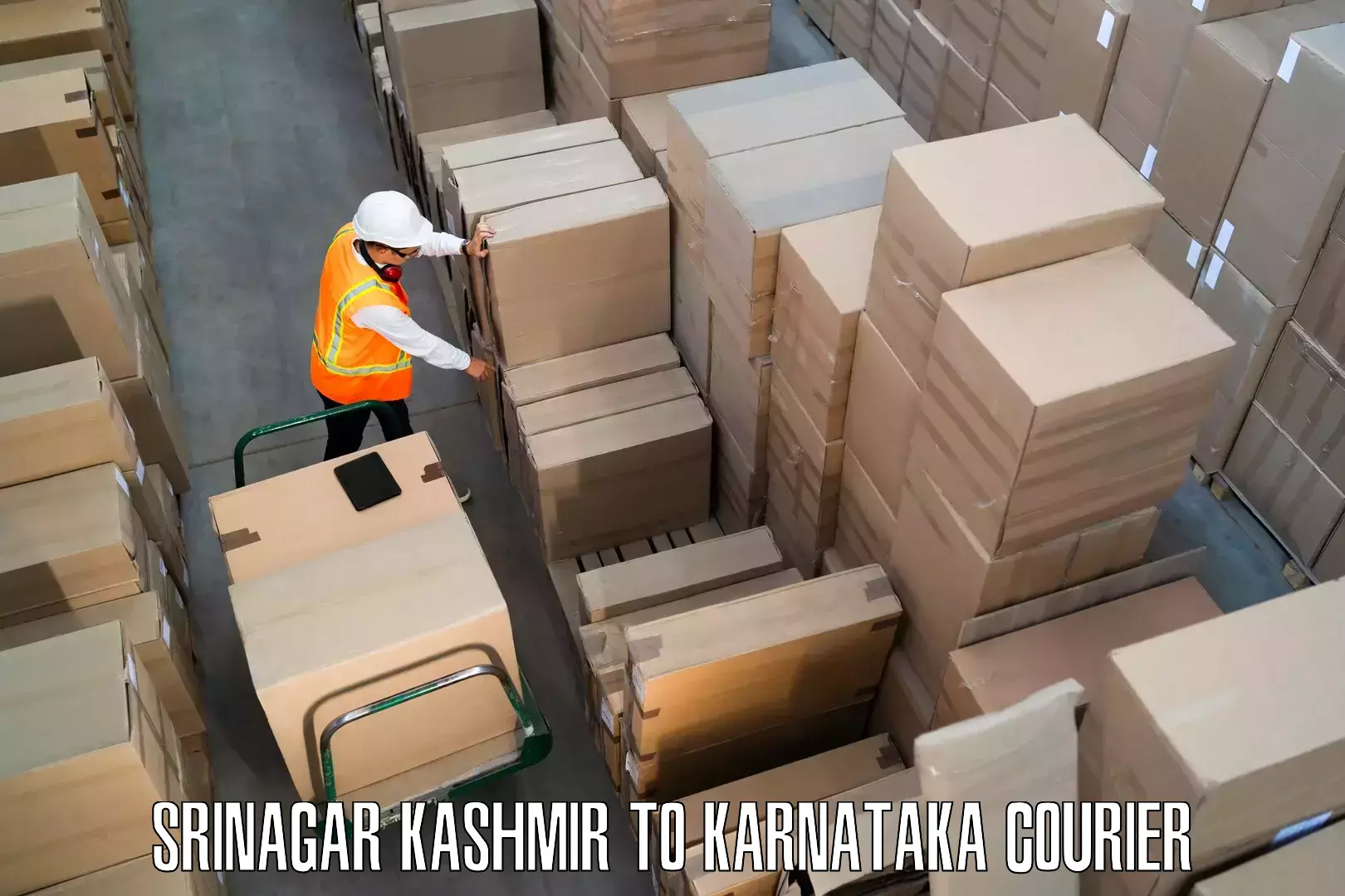 Professional furniture movers Srinagar Kashmir to Harpanahalli