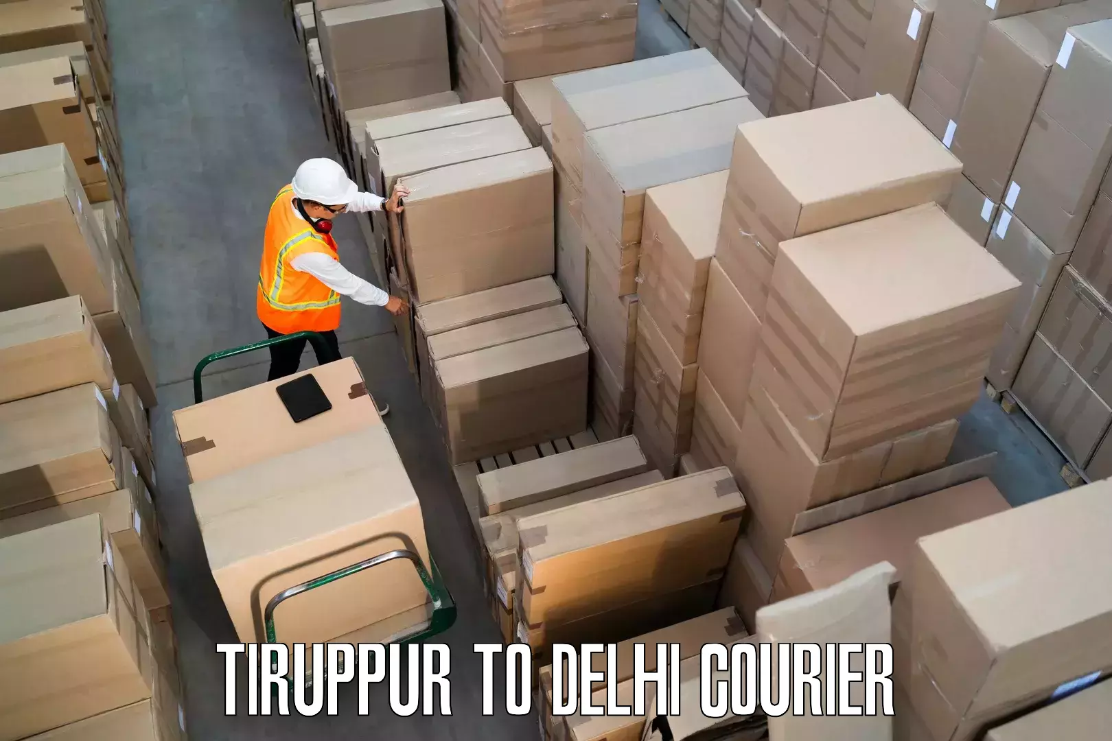Home shifting experts Tiruppur to Delhi