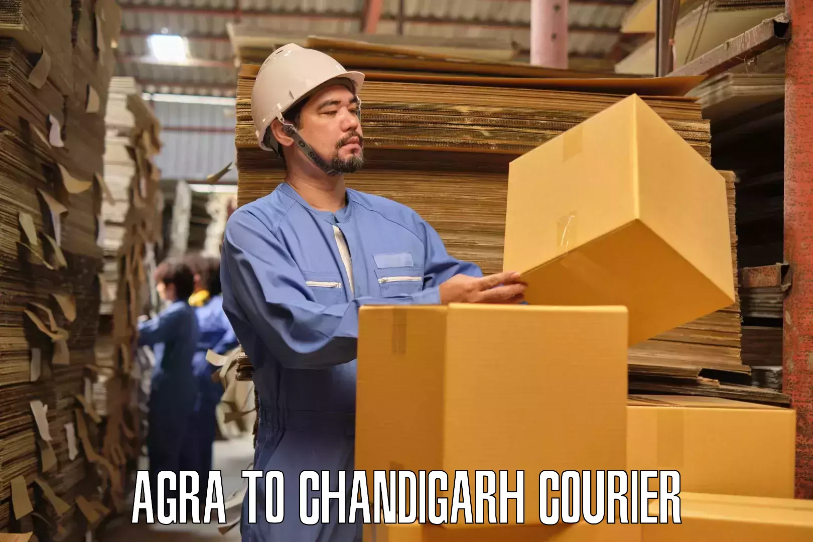 Professional moving strategies Agra to Panjab University Chandigarh