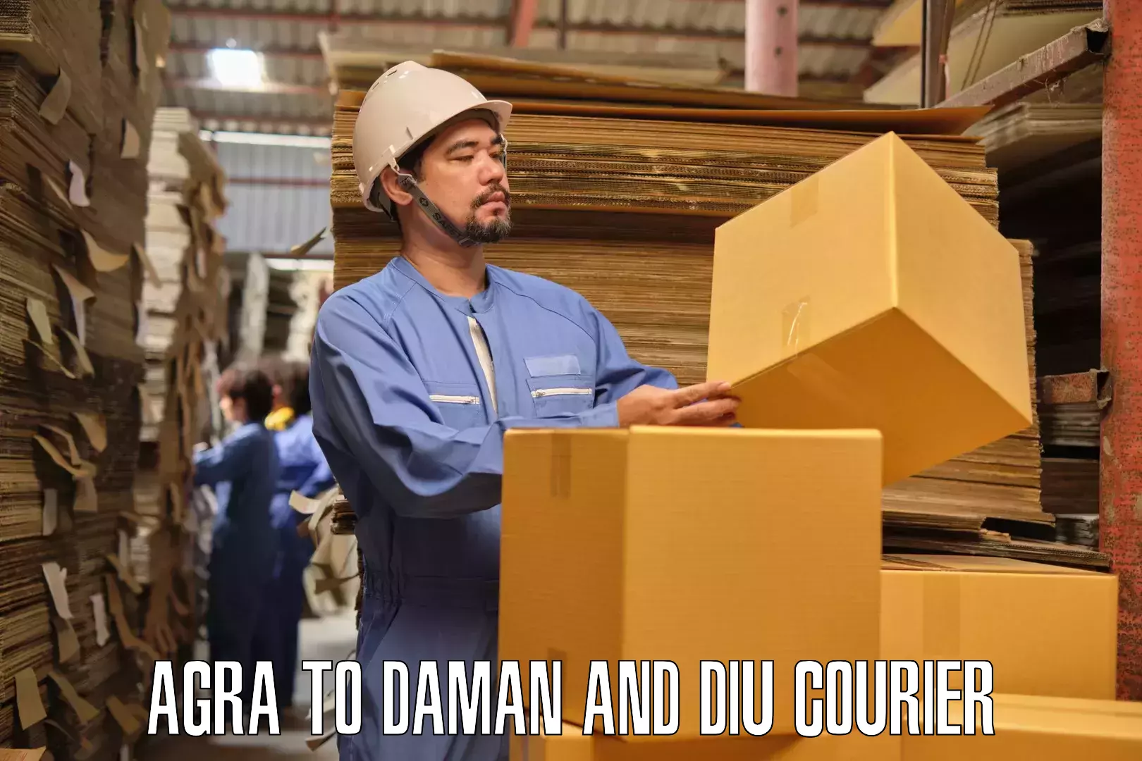 Professional moving company Agra to Daman and Diu