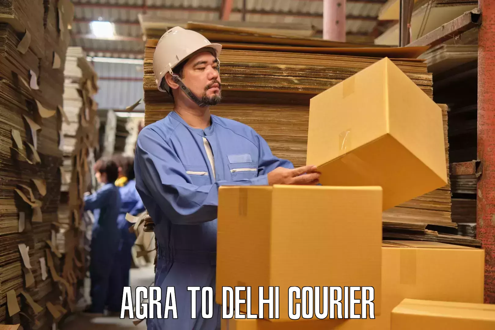 Household logistics services Agra to Jamia Hamdard New Delhi