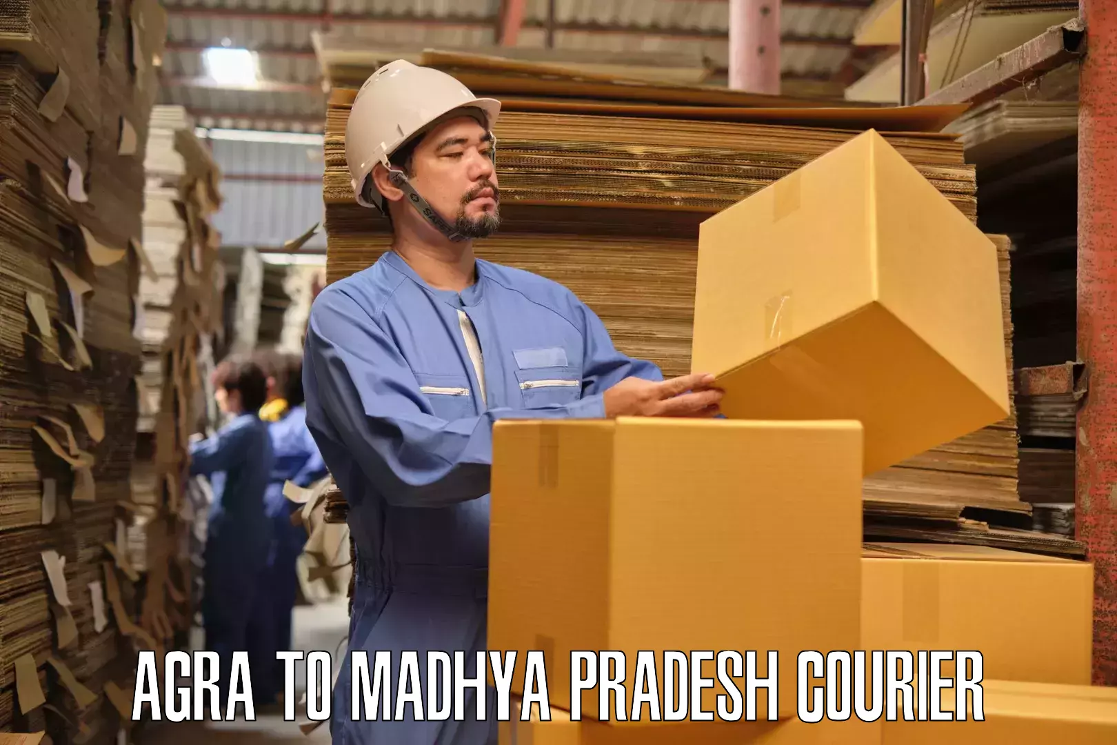 High-quality moving services Agra to Pandhurna