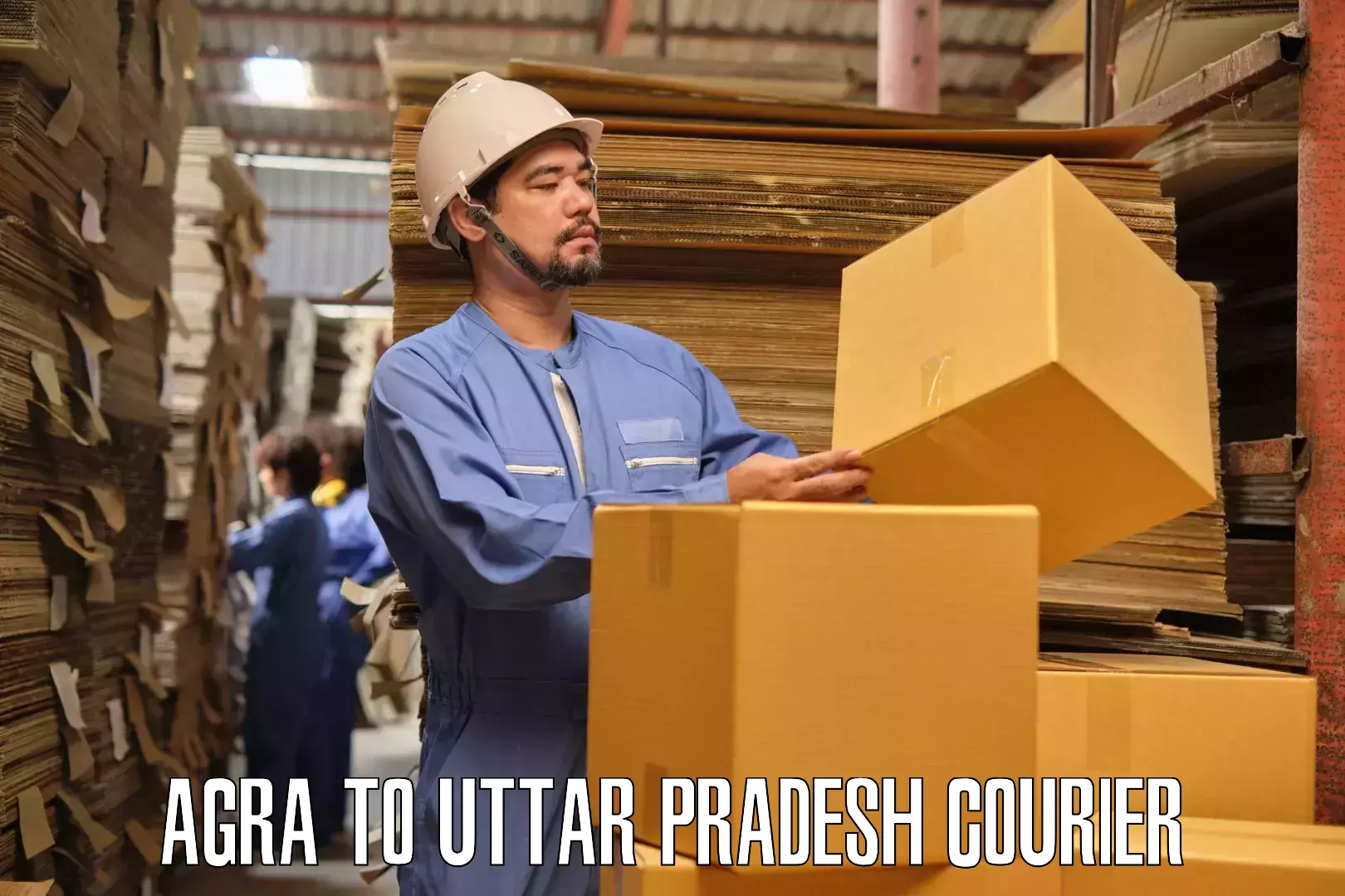 Furniture moving services in Agra to Mehnagar