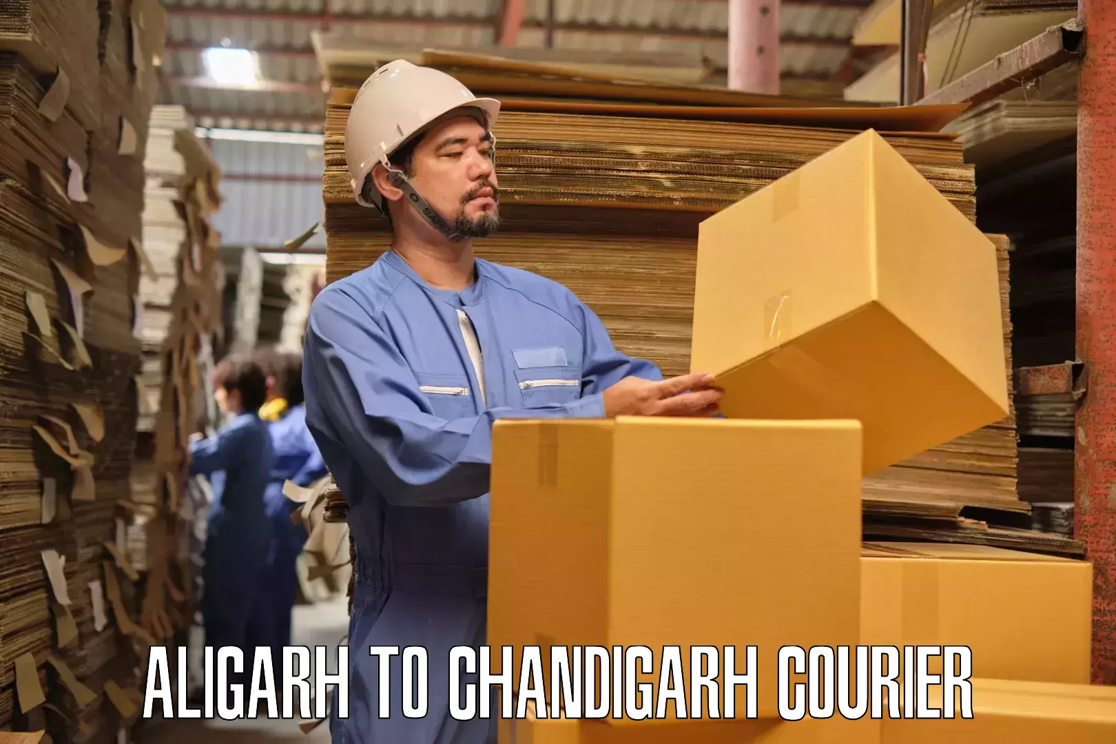 Home goods movers Aligarh to Chandigarh