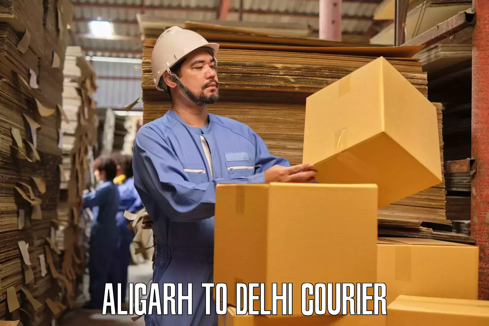 Tailored furniture transport Aligarh to University of Delhi