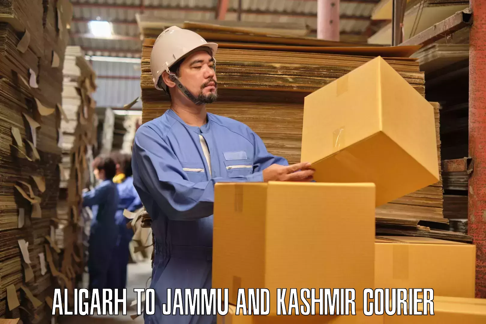 Dependable furniture transport Aligarh to Jammu and Kashmir