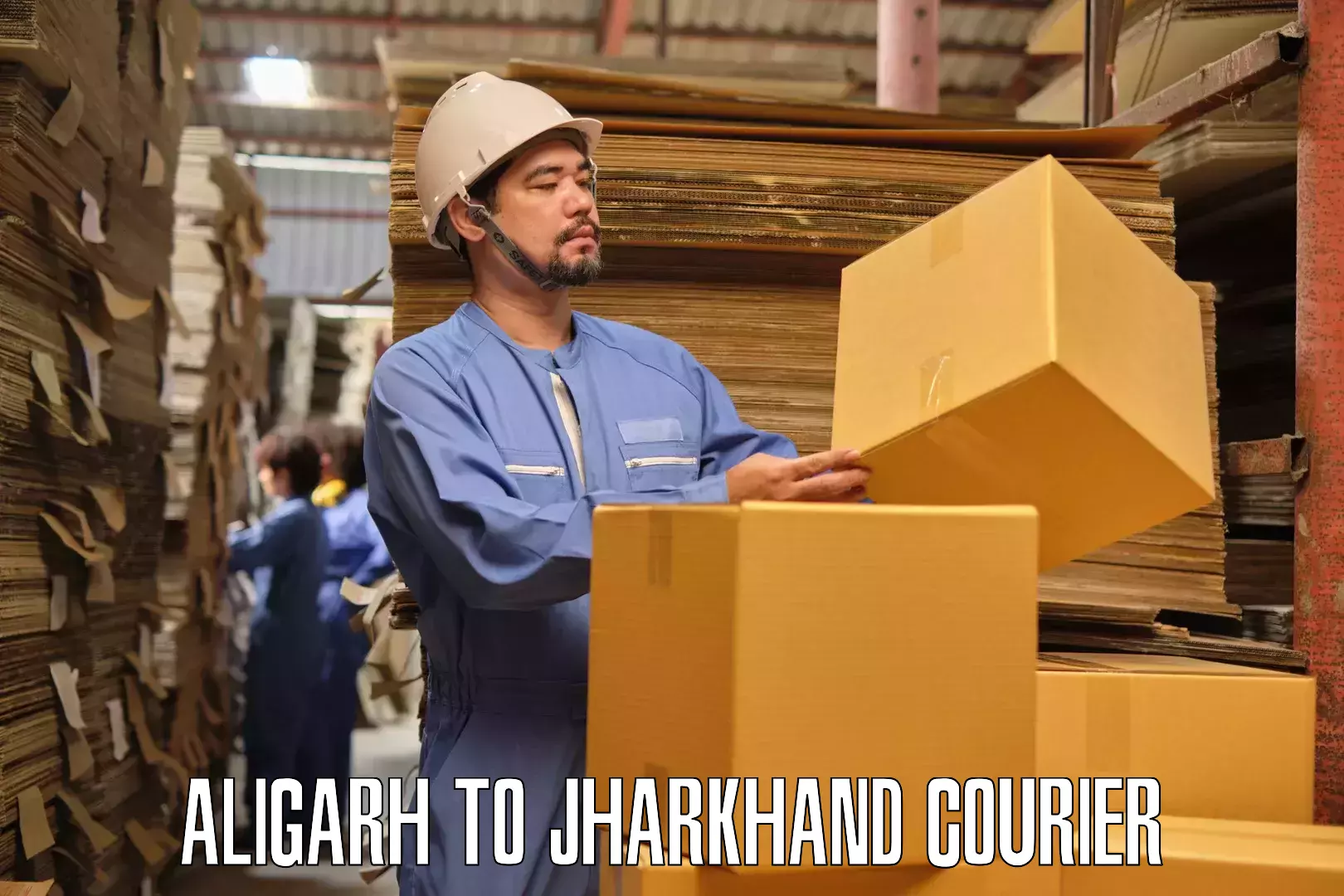 Premium moving services Aligarh to Hariharganj