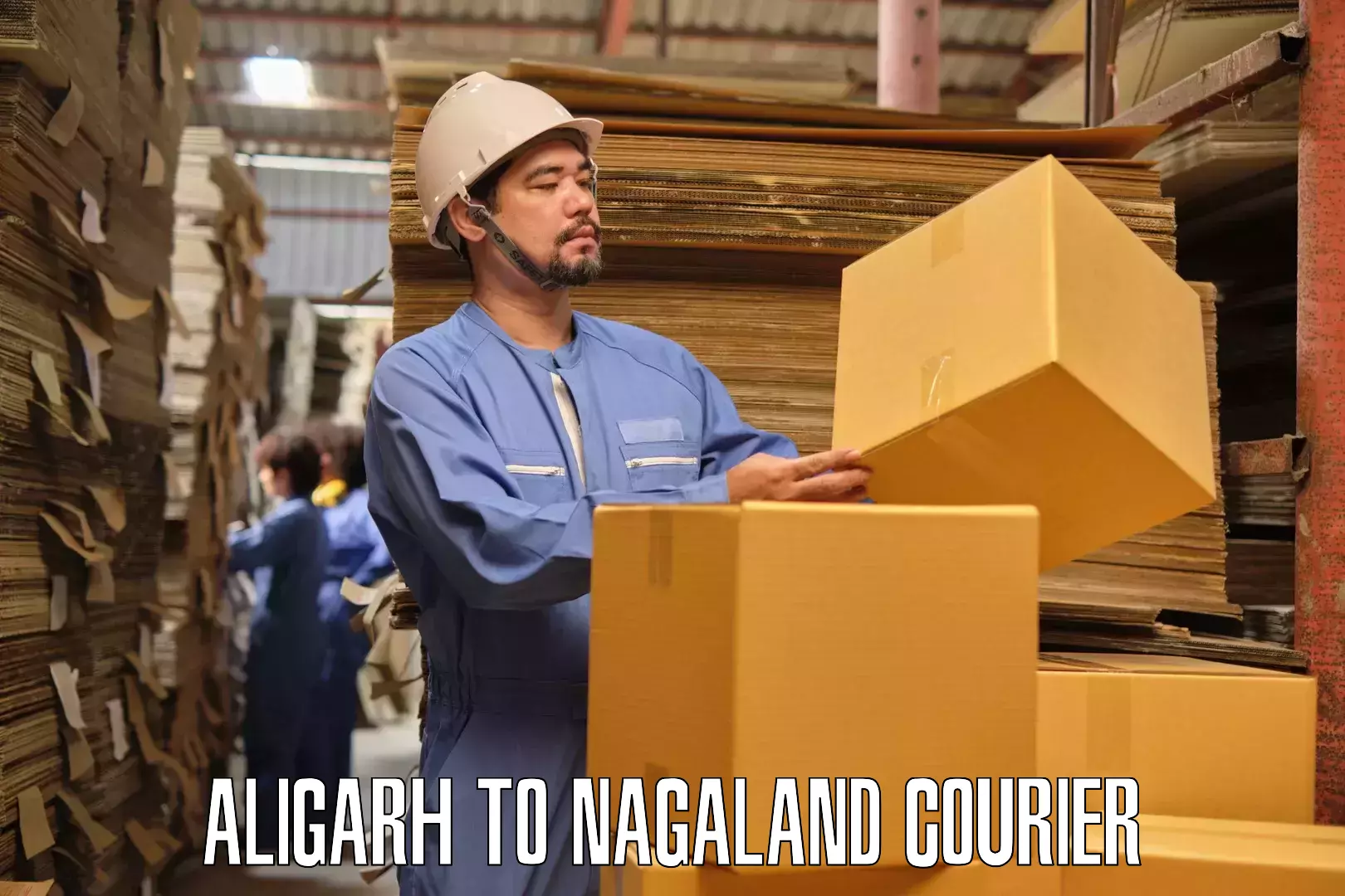 Residential furniture transport in Aligarh to NIT Nagaland