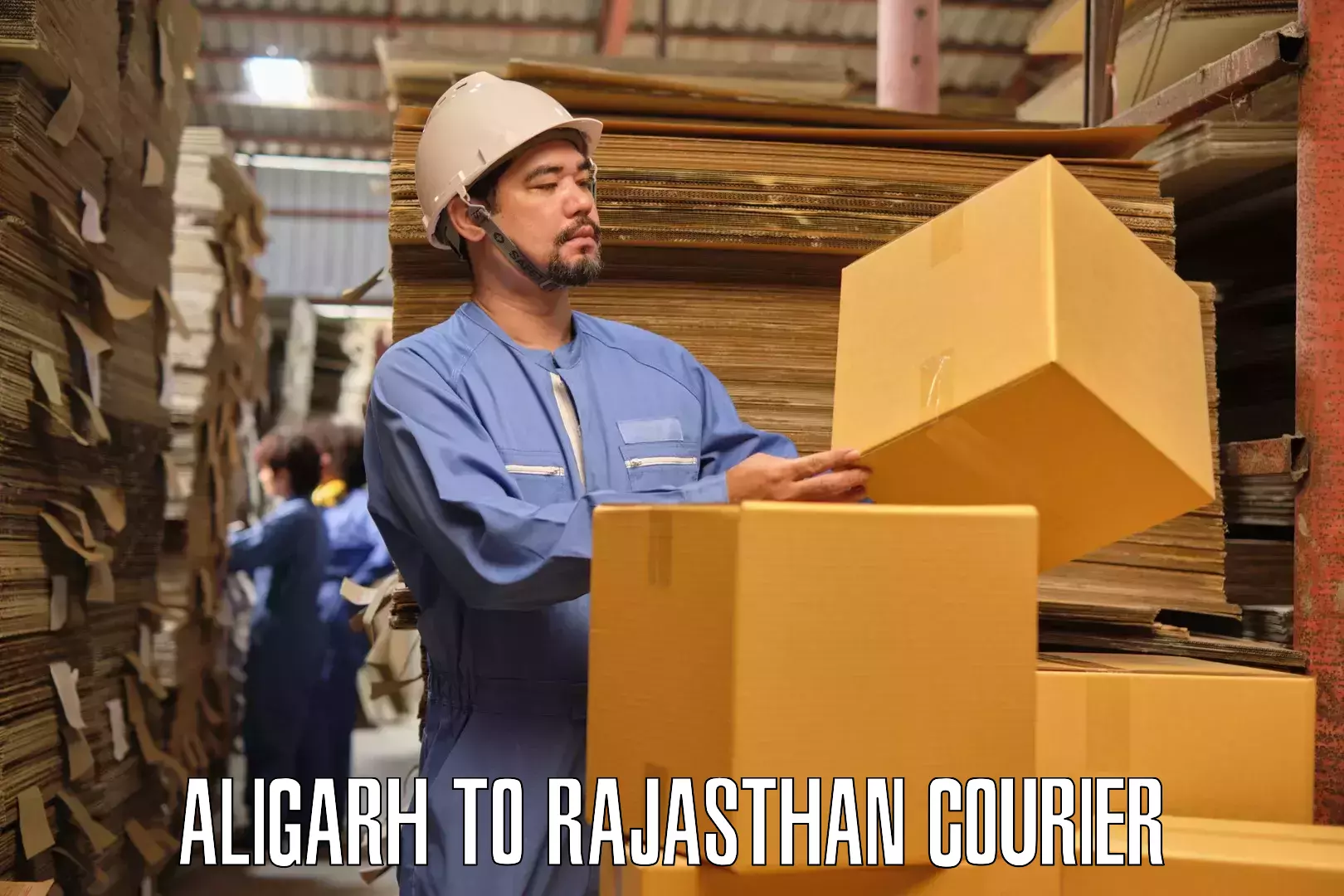 Reliable furniture transport Aligarh to Chittorgarh
