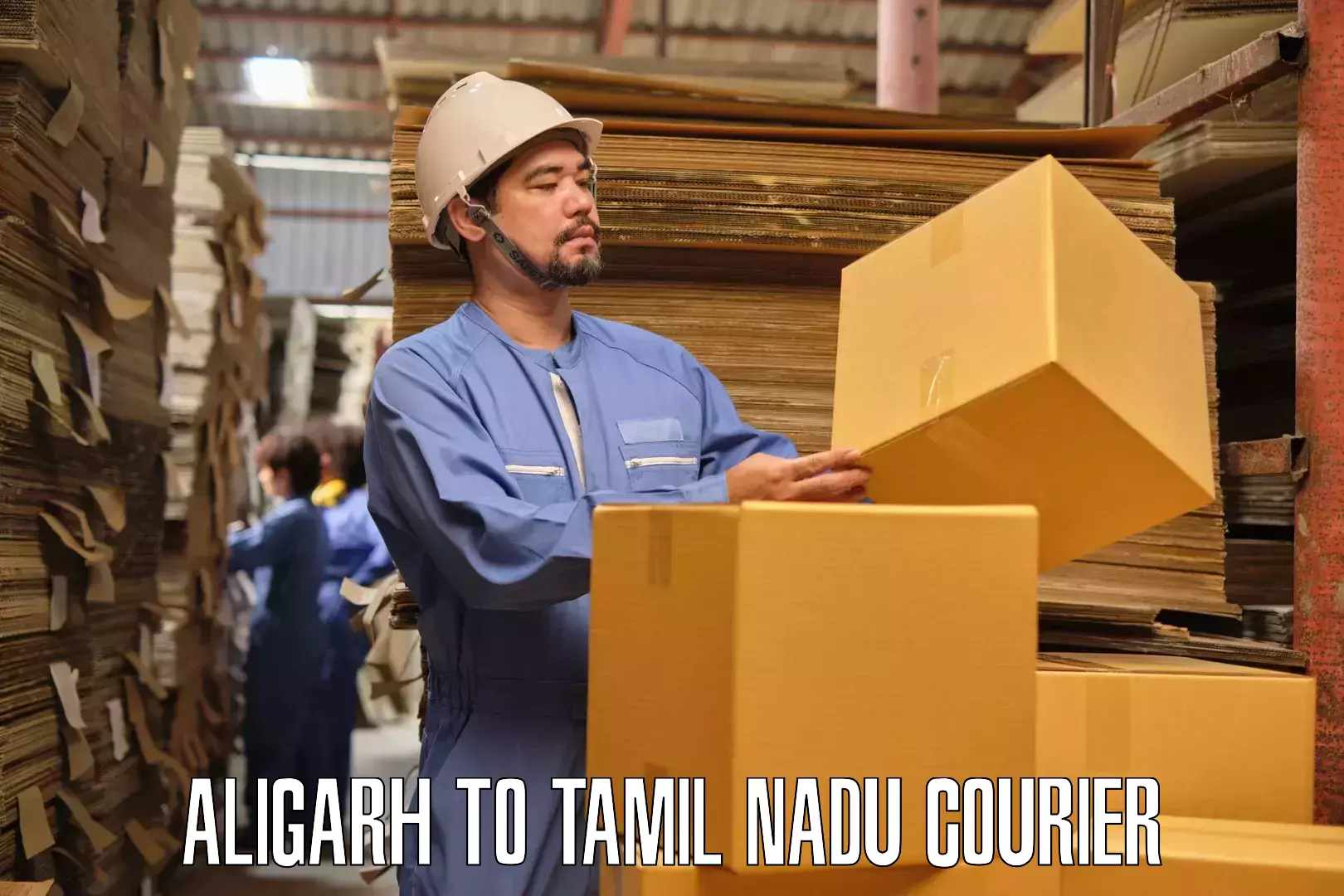 Furniture moving assistance Aligarh to SRM Institute of Science and Technology Chennai
